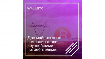 Две майнинговые компании стали крупнейшими потребителями электроэнергии в Грузии